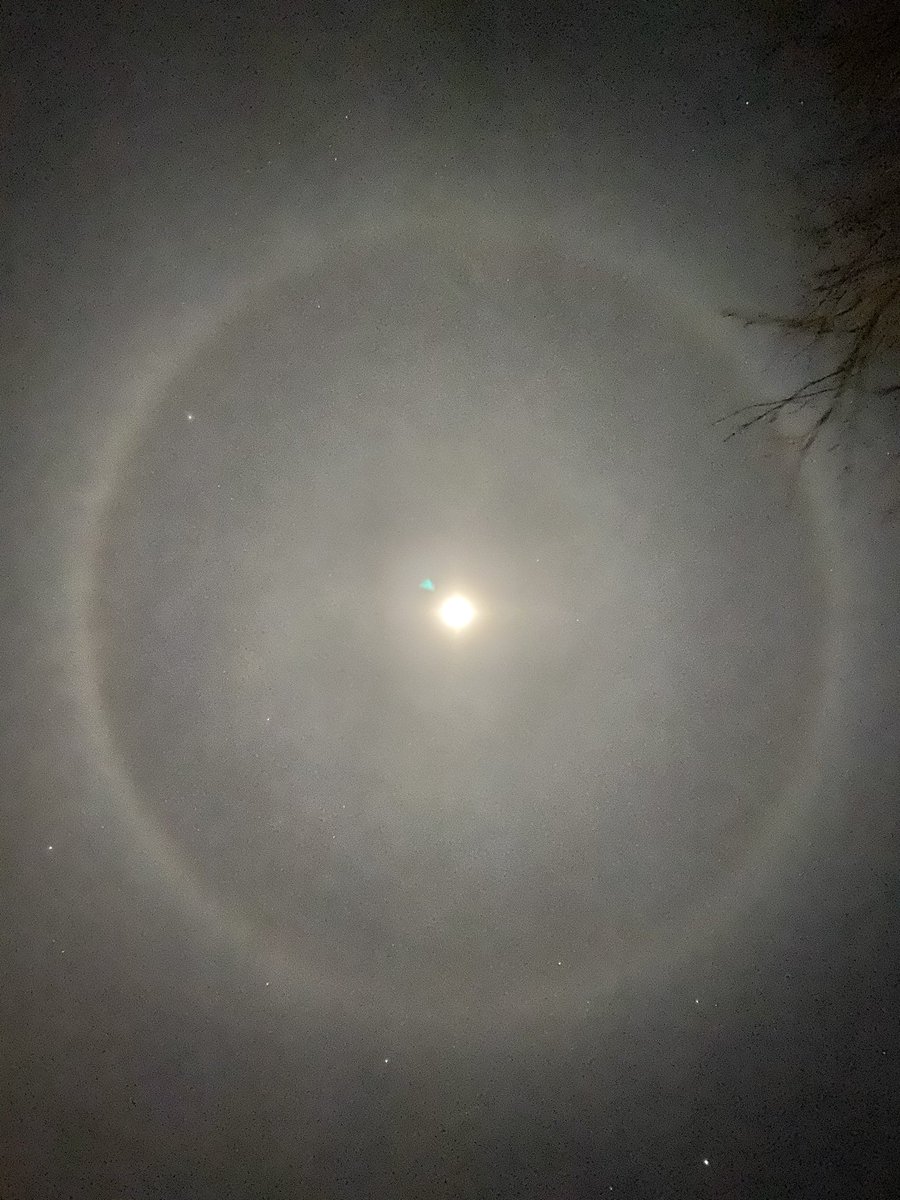Philo_Biology's tweet photo. Science fans...please go outside and look at the moon! There is an awesome moon halo right now! So cool! This pic was taken directly over my house! #moonhalo #scienceisawesome @ElectricsFLSD https://t.co/BRVaordLVc