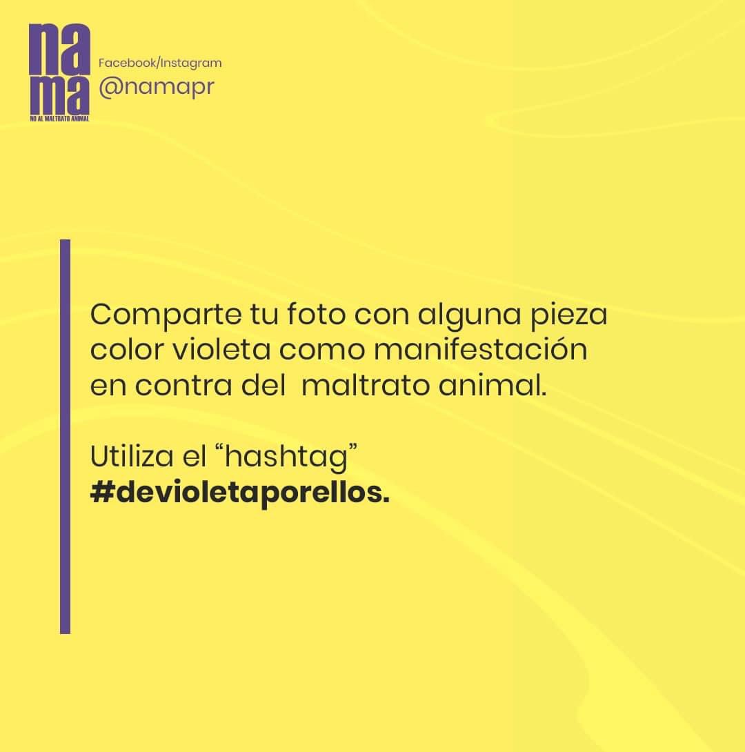 namapr's tweet photo. Regresa #DeVioletaPorEllos. 
#NoAlMaltratoAnimal https://t.co/vyOmd5dHz9