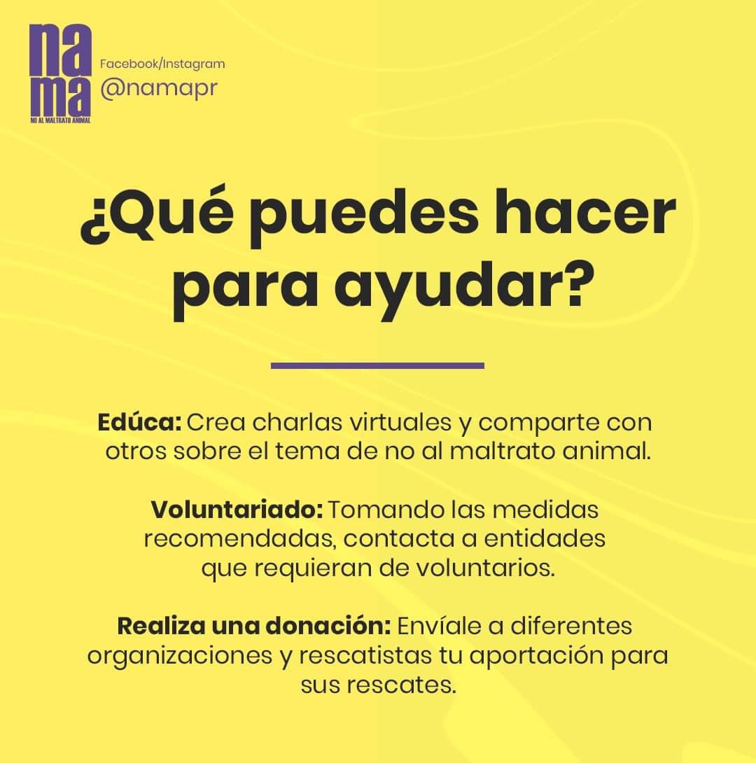 namapr's tweet photo. Regresa #DeVioletaPorEllos. 
#NoAlMaltratoAnimal https://t.co/vyOmd5dHz9