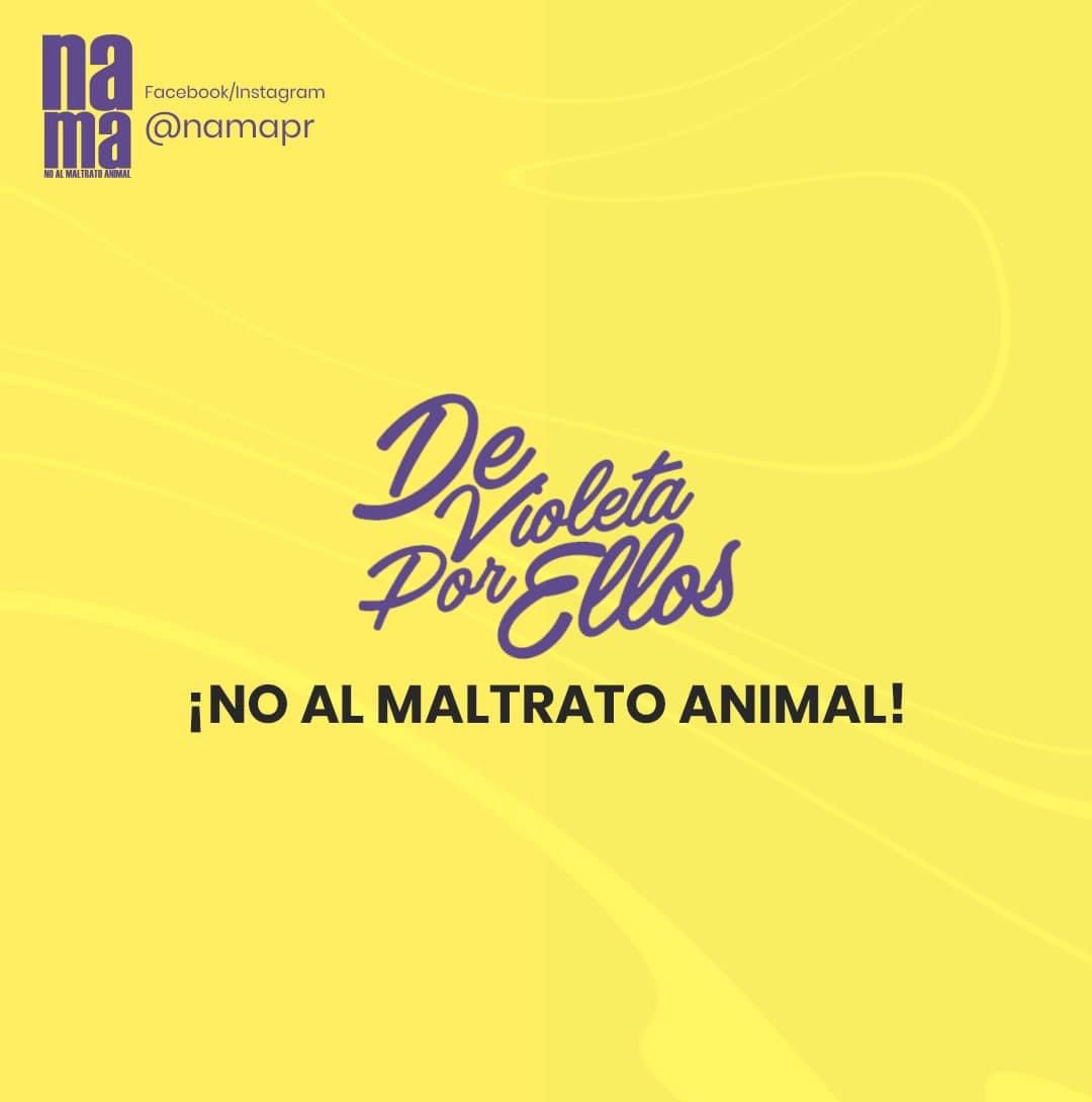 namapr's tweet photo. Regresa #DeVioletaPorEllos. 
#NoAlMaltratoAnimal https://t.co/vyOmd5dHz9