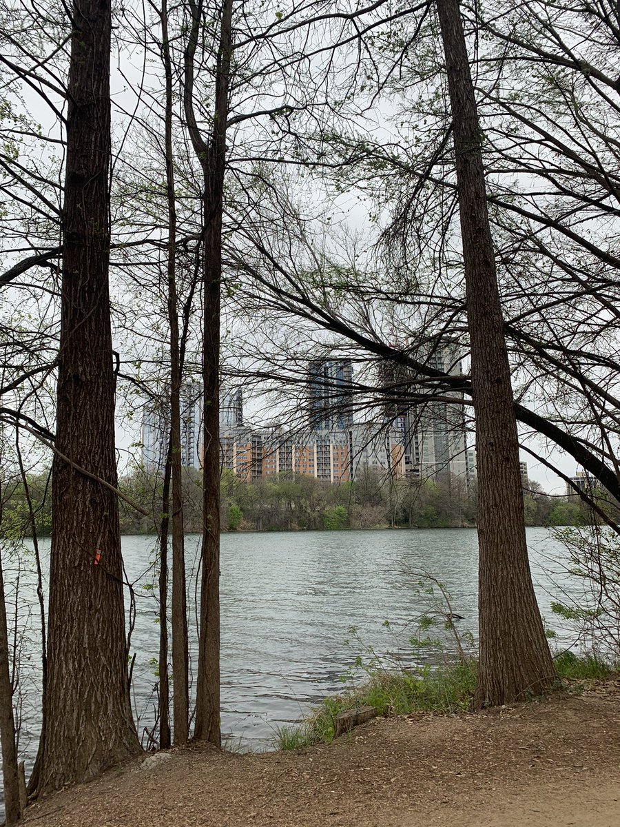 Taniaplg's tweet photo. 🦢🦢🦢 https://t.co/jNzKYQTVwc