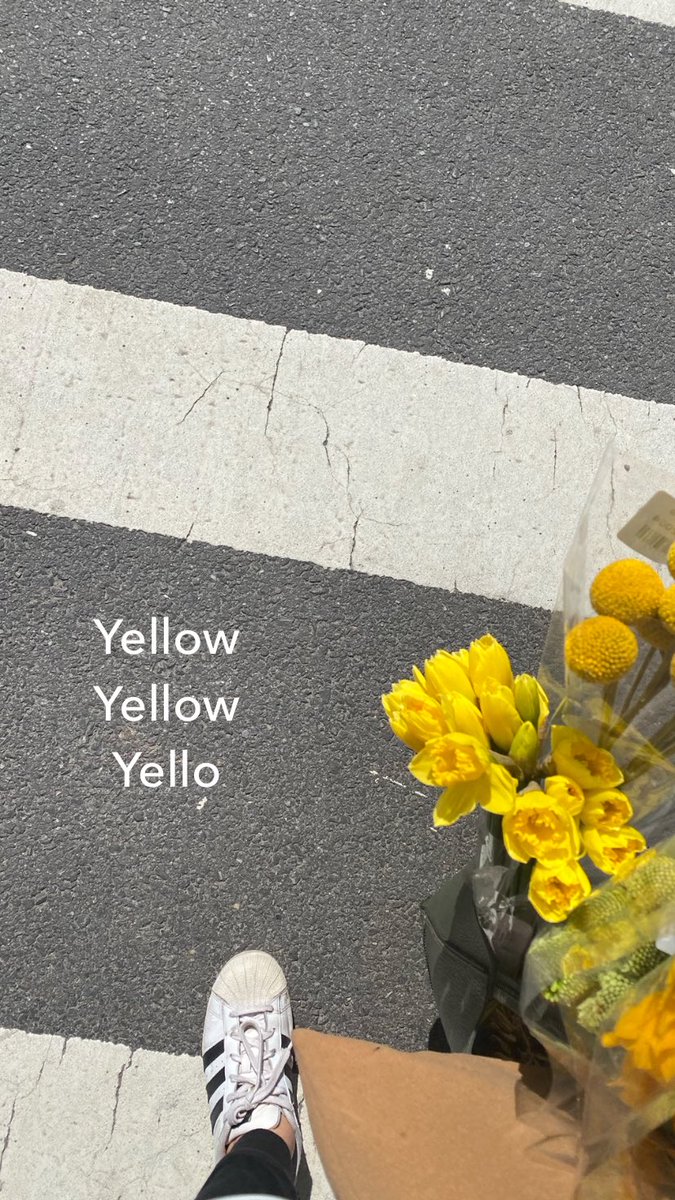 bonitodesign's tweet photo. Yellow + Yellow = Yello 
Gotta love the spring vibes! #yellowflowers #TraderJoes #nyc #eventstylist #bonitodesign https://t.co/aLmhwn2X78