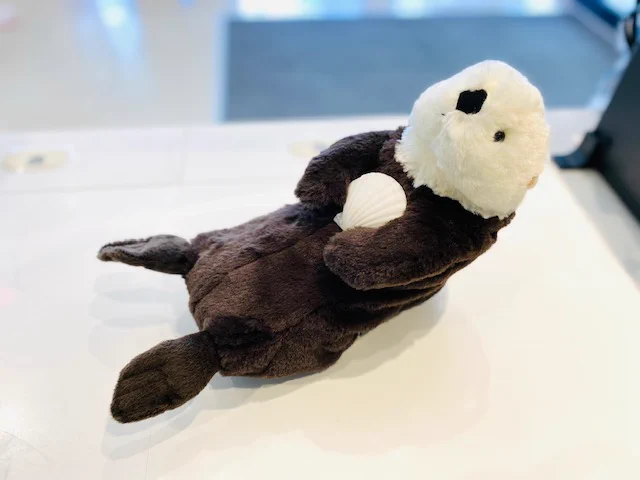 新潟市水族館ﾐｭｰｼﾞｱﾑｼｮｯﾌﾟマリンピアハート on X: 