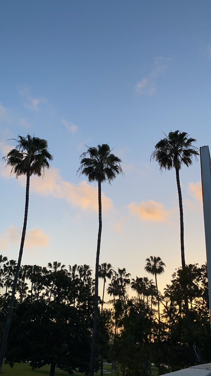 uridre's tweet image. #cloudcam during meditation