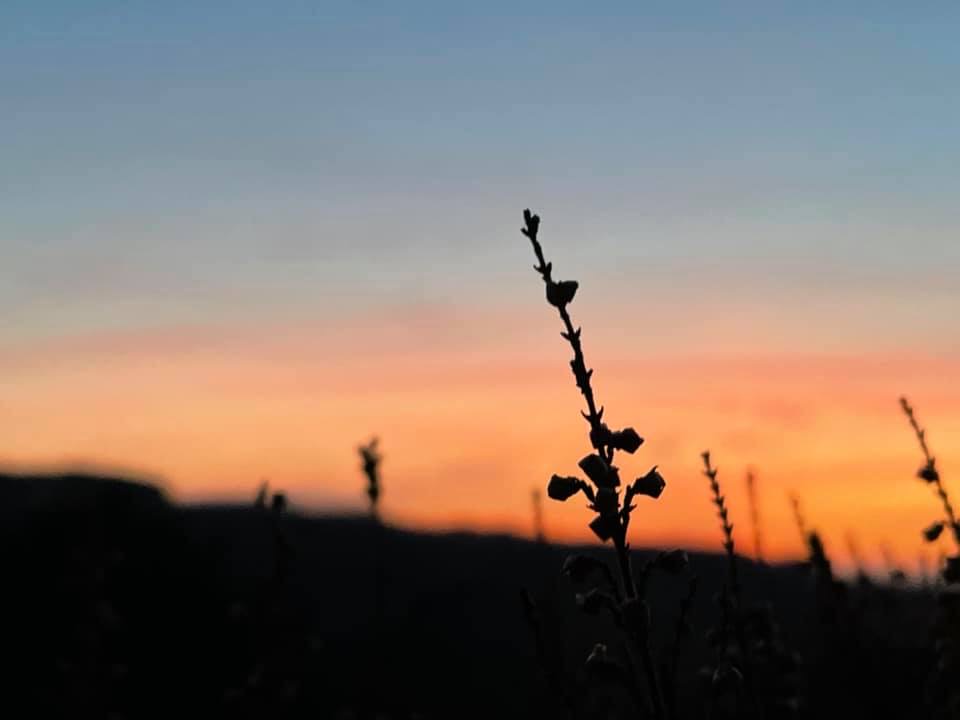 BrumCameraClub's tweet photo. Sunset 
:
| 📷  Albie Taylor 🙏 | 
: ––––––––––––––––––––––More photos on FB: https://t.co/Oq5UwsDYRj ––––––––––––––––––––––
#BrummieBeautiful 
#swbcc #ForTheLoveOfTheLens #SWBrumCameraClub
#ForTheLoveOfTheLens #SWBrumCameraClub 
#Birmingham #lickeyhills https://t.co/FCJzxIRRfu
