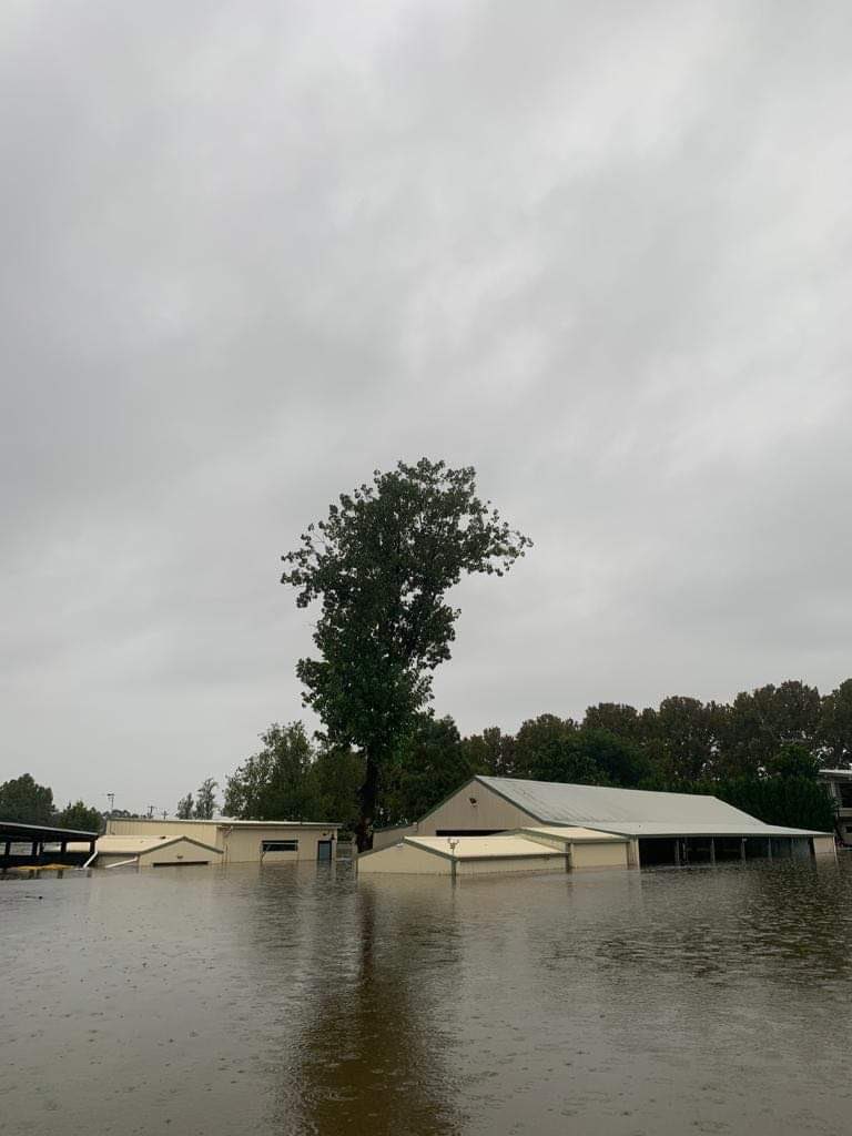 brookestilla's tweet photo. And to think that we are some of the lucky ones..... 💔😭💔😭  #alloutsafely #heartbreaking #thankful https://t.co/C7E5sZsiD5