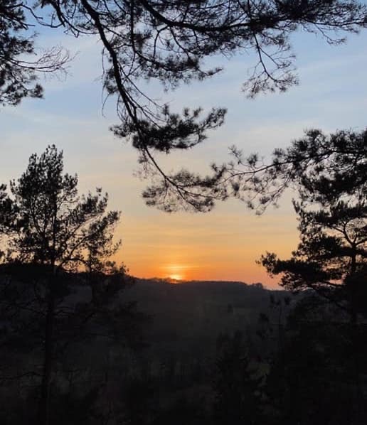 BrumCameraClub's tweet photo. Sunset 
:
| 📷  Albie Taylor 🙏 | 
: ––––––––––––––––––––––More photos on FB: https://t.co/Oq5UwsDYRj ––––––––––––––––––––––
#BrummieBeautiful 
#swbcc #ForTheLoveOfTheLens #SWBrumCameraClub
#ForTheLoveOfTheLens #SWBrumCameraClub 
#Birmingham #lickeyhills https://t.co/y2XHE7jN4c