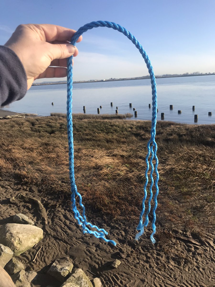 FraserRiverFind's tweet photo. Kinda looks like mermaid hair, right? Think i will hold onto this for some future artistic endeavour.
#FraserRiverFinds
#FraserRiver #GilbertBeach
#RichmondBC #beachcombing
#SavetheFraser https://t.co/HQbvSv8c9G