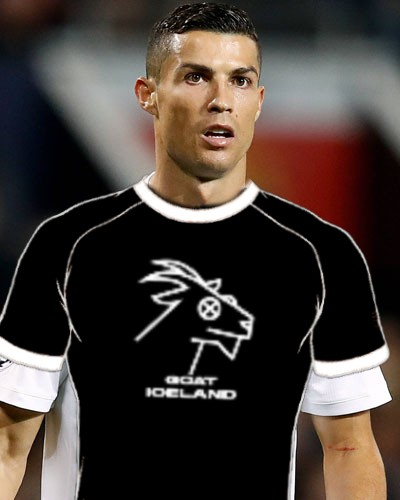 Goat Iceland tweet media