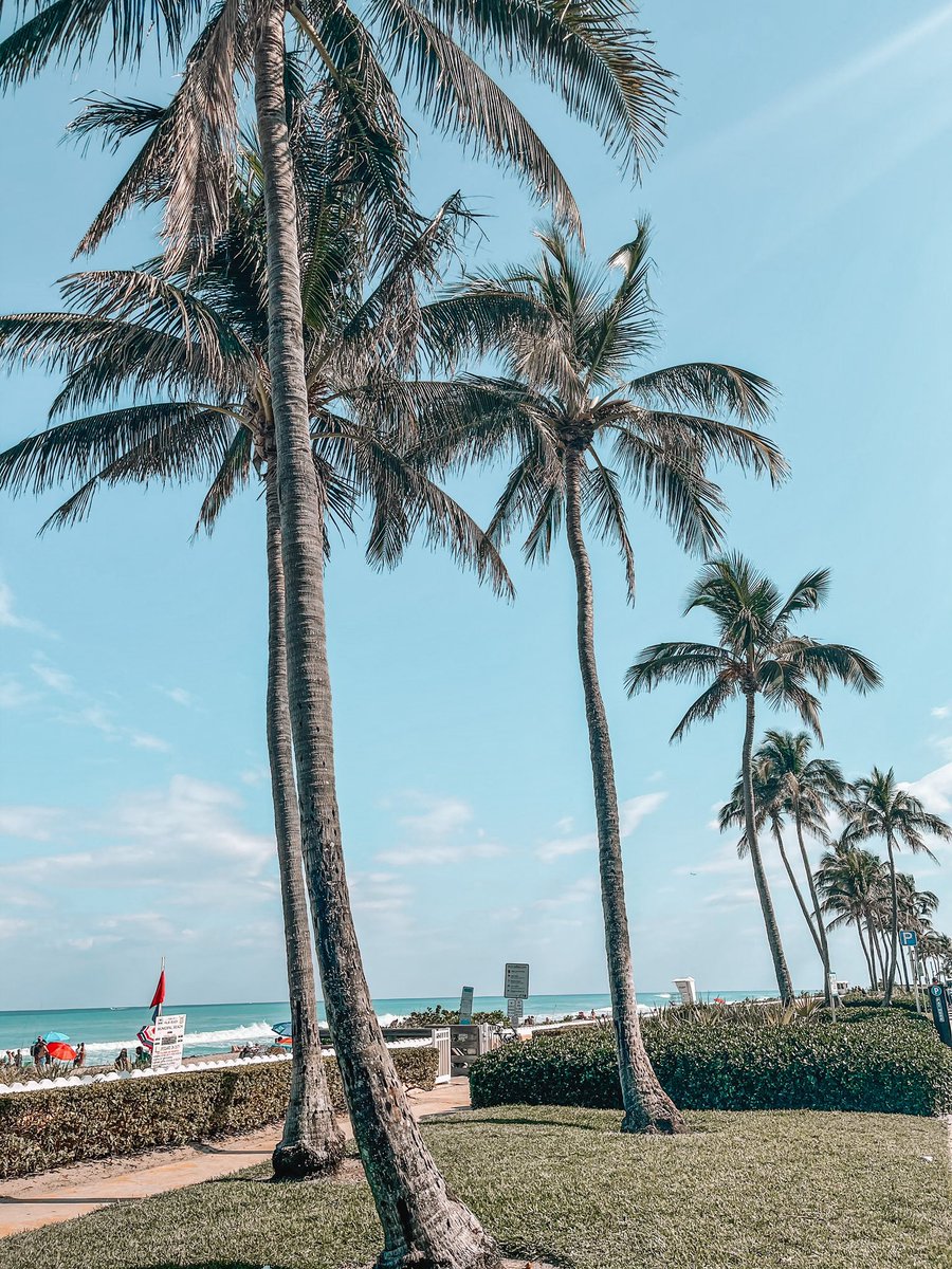 anaadelahoz's tweet photo. day in palm beach https://t.co/kiLzGVZr39