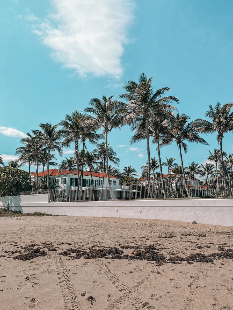 anaadelahoz's tweet photo. day in palm beach https://t.co/kiLzGVZr39