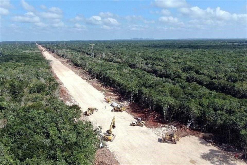 CarlosTorresF_'s tweet photo. Y así es como destruye la selva el peor gobierno de la historia https://t.co/vyFBbmC5V4