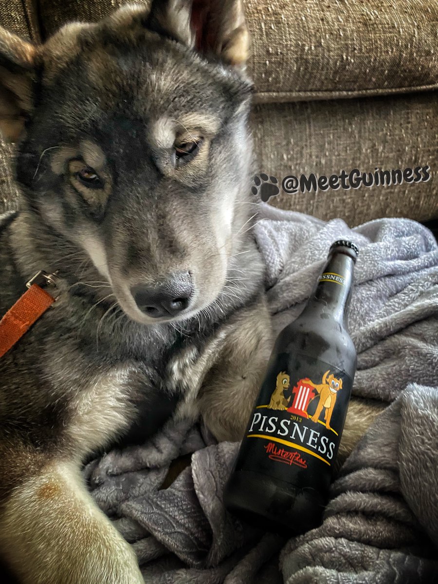 MeetGuinness tweet picture