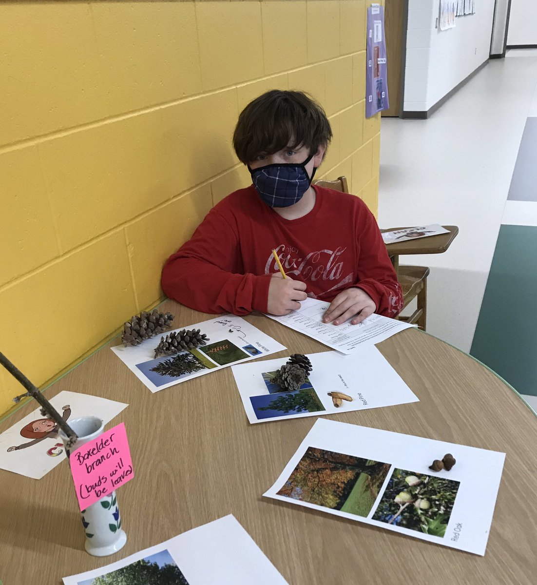 Miss Bass' Class tweet media