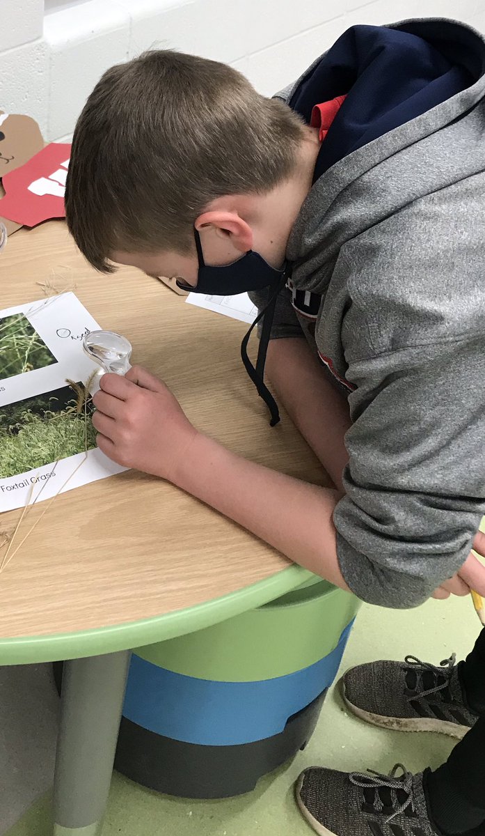 Miss Bass' Class tweet media