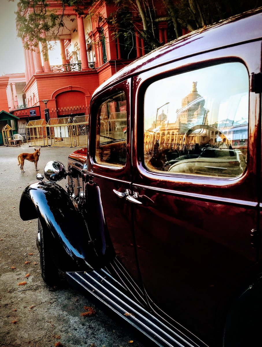 nikipentium's tweet photo. #Morningwalk #cubbonpark #vintagecar #vidhansoudha #bengaluru #karnataka #india #sunlight #karnatakahighcourt https://t.co/nMPhrUYlg5
