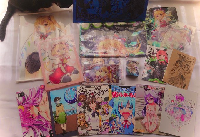 例大祭で頂いた物たち!
どれもこれもクオリティ高いものだらけで凄い……大切にさせていただきます!
そして差し入れもありがとうございました!これには猫も大喜び!! 