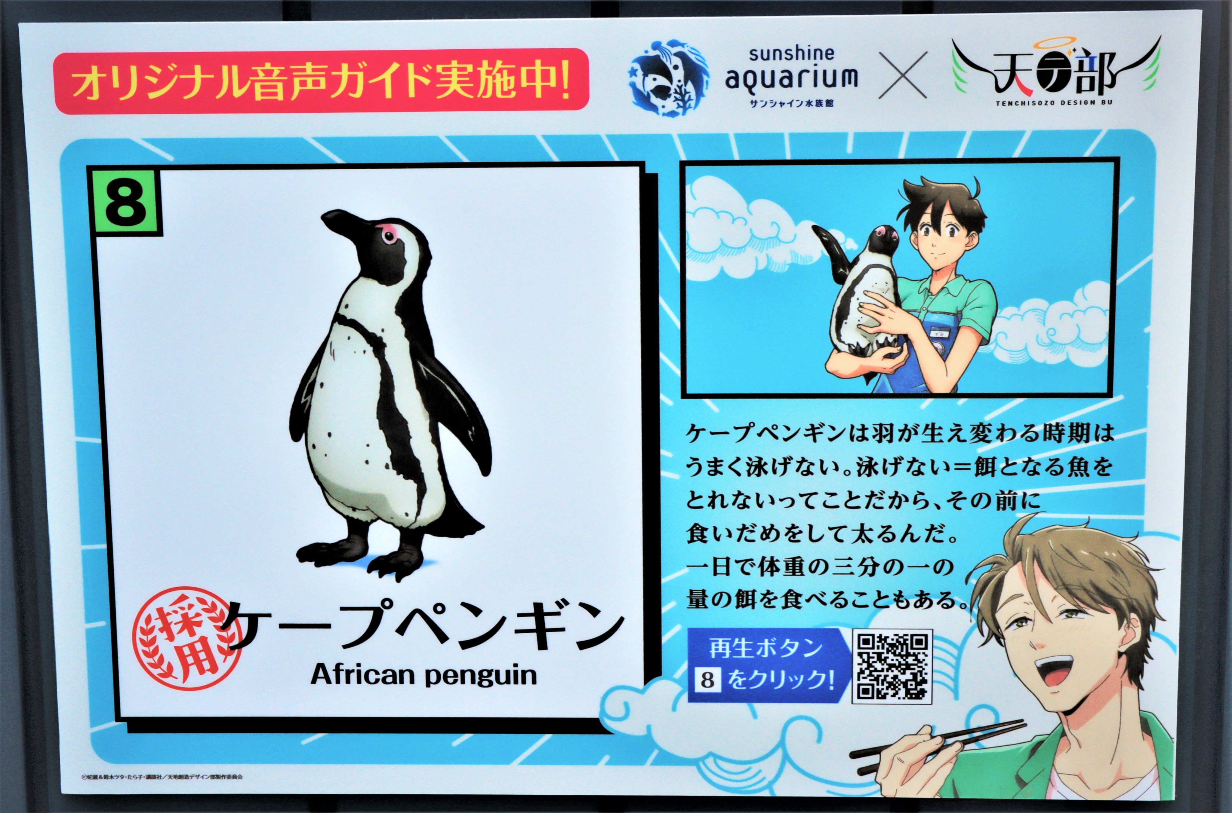 サンシャイン水族館 サンシャイン水族館 天地創造デザイン部 作品内でお馴染みのキャラクターイラストや アニメの場面カットを生き物トリビアとともにお楽しみいただける 生き物解説パネル が水族館内に設置されています ぜひ 記念撮影を 詳細は