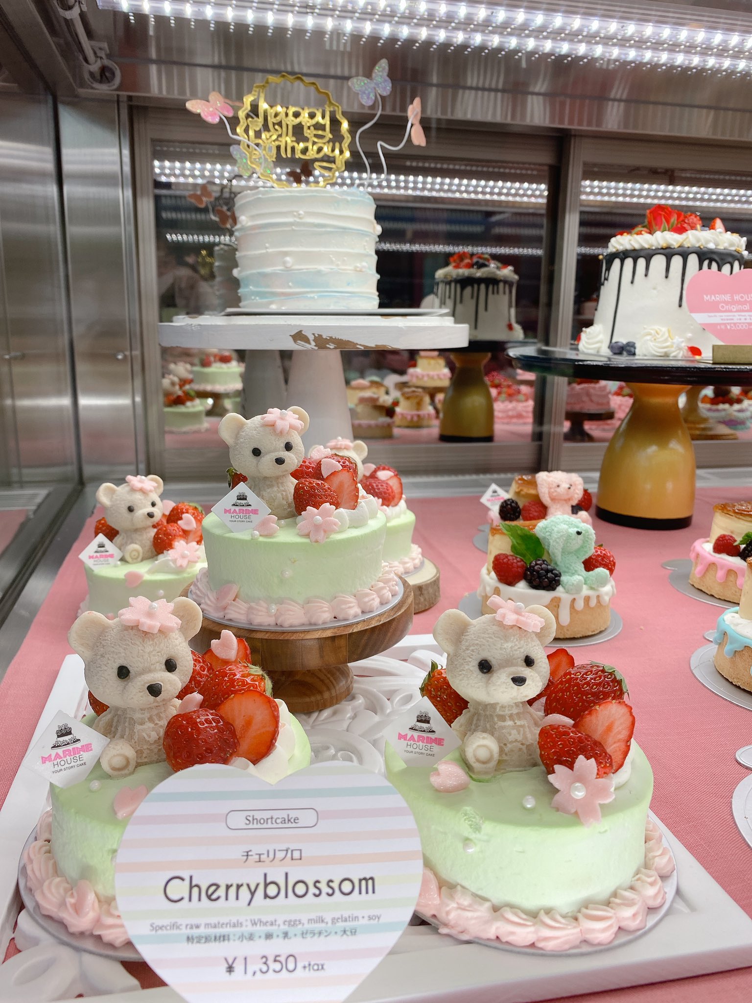 Marine House Your Story Cake 本日のショーケースも くまさんいっぱいです ホールケーキはパティシエオリジナルです 皆様のご来店お待ちしております マリーンハウス Marinehouse オーダーケーキ 原宿 カフェ くまさんケーキ T