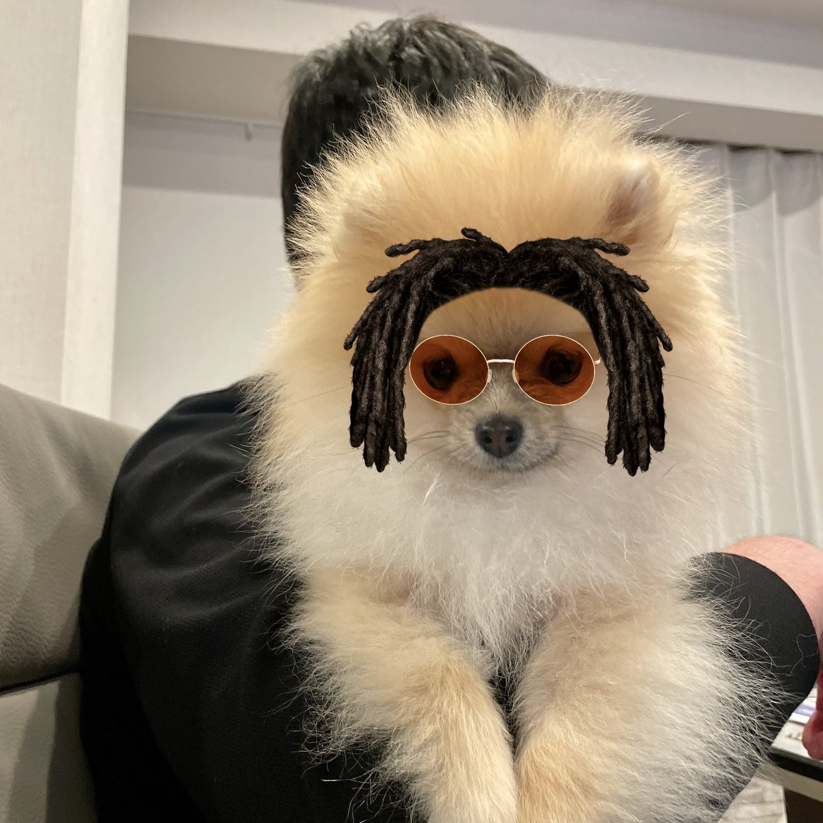 ミサイル على تويتر Snowのねこ用スタンプが犬でも反応すると聞いて試してみました なかなかスタンプが出てこなくて難しいのですが撮っている時は楽しかったです ヒゲ似合いますね ポメラニアン