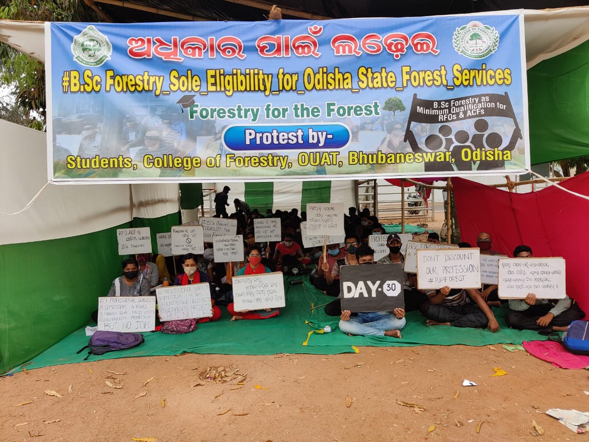 MonalishaLenka's tweet photo. Day-30. Still no response #BSc_Forestry_Sole_Eligibility_for_Odisha_State_Forest_Services
@Naveen_Odisha @CMO_Odisha @BKArukha @dr_arunsahoo @SecyChief @MoSarkar5T @PrakashJavdekar @sandeepifs @ForestDeptt @pccfodisha @ifs_odisha @AprajitaSarangi https://t.co/XCeXfNvJt6
