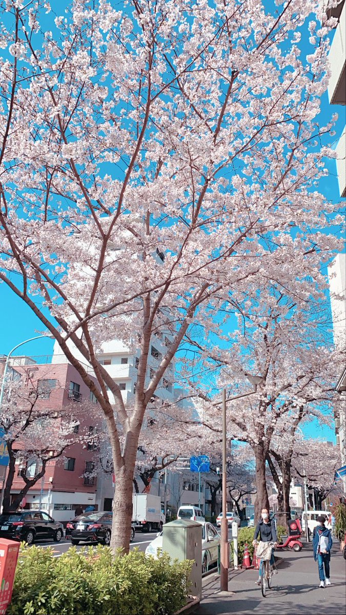 Живем в аниме