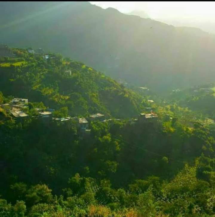 AmazingYemen's tweet photo. Morning in #Ibb _Yemen https://t.co/BVxAiPGsUG