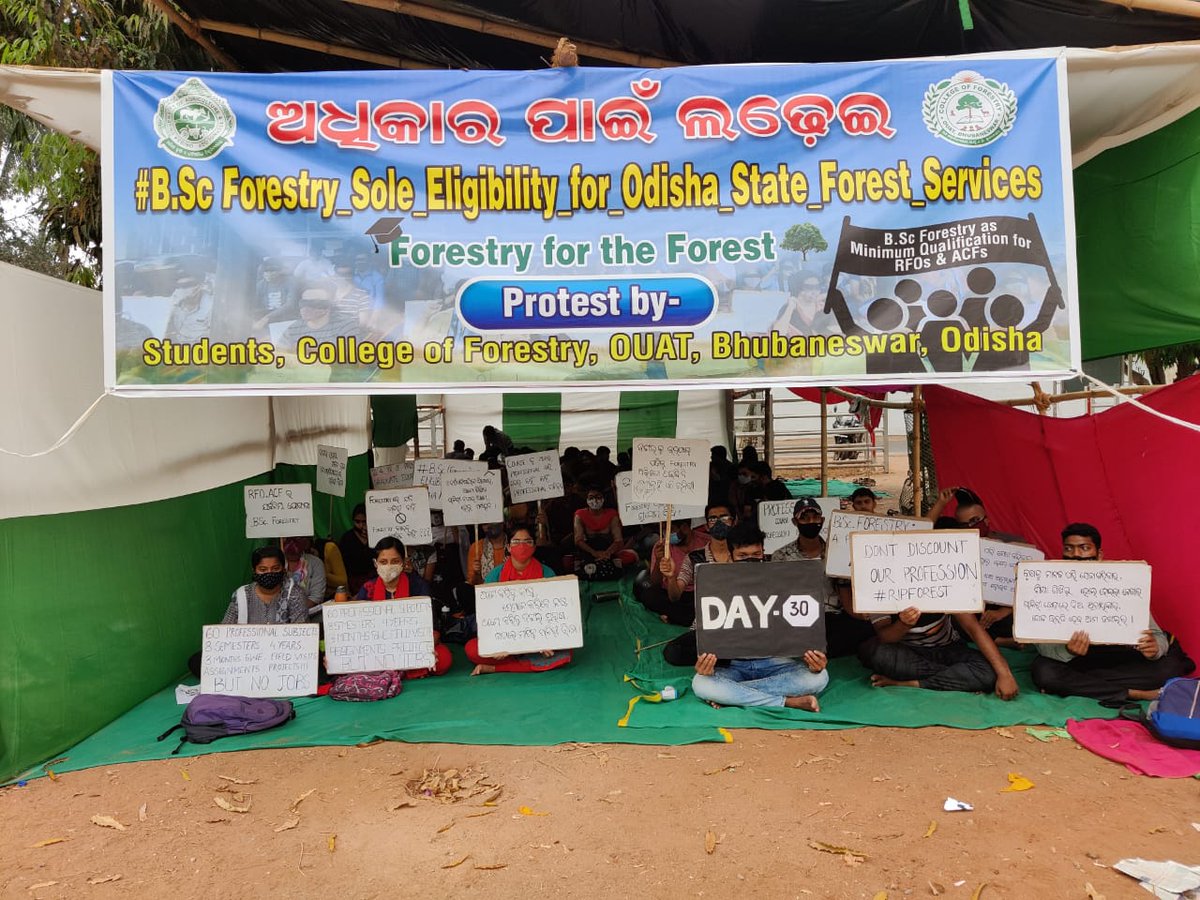 BarinaSmith's tweet photo. #BSc_Forestry_Sole_Eligibility_for_Odisha_State_Forest_Services
@Naveen_Odisha @CMO_Odisha @BKArukha @dr_arunsahoo @SecyChief @MoSarkar5T @PrakashJavdekar @sandeepifs @ForestDeptt @pccfodisha @ifs_odisha https://t.co/gl2VD8dcLJ