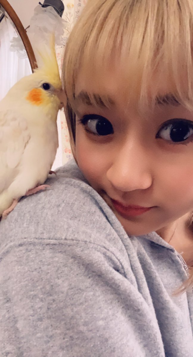 miku_liezy's tweet photo. 朝から弟と母親に"どっちが可愛い？？"と、かまちょLINEをかましております。弟には即答で"るぅ"(インコの名前)と言われました🥺
#今日の小話 #すっぴんお許し 🙏 https://t.co/ctaUYffUXE