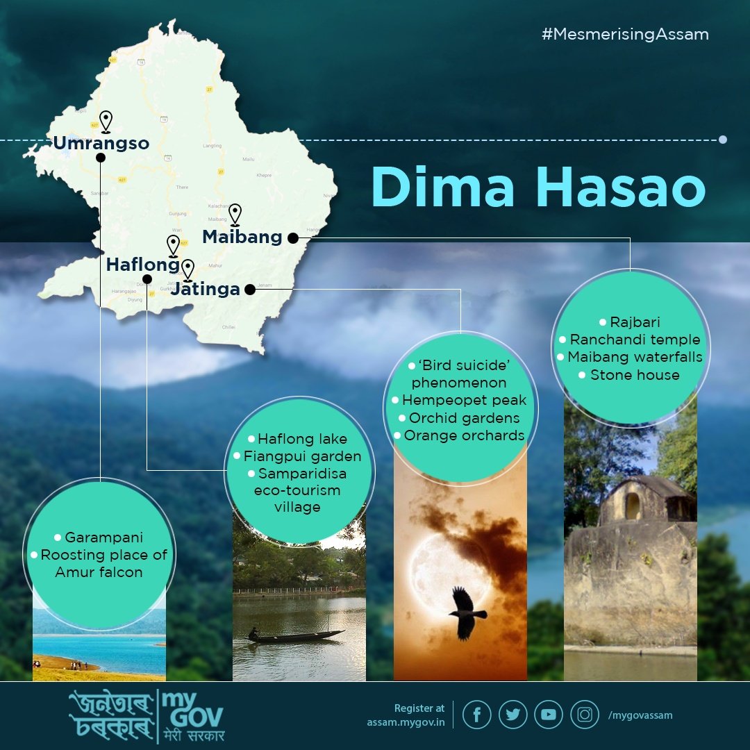 mygovassam's tweet photo. #MesmerisingAssam https://t.co/dlqtlokNH0