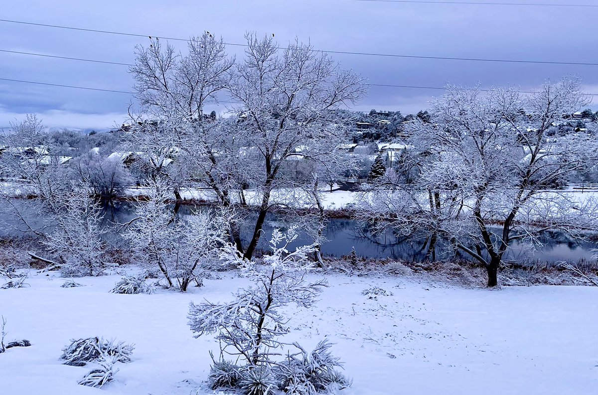 Celenevb69's tweet photo. @darkglassphoto Yes, it was a winter wonderland this morning https://t.co/e5Nr6imwG1