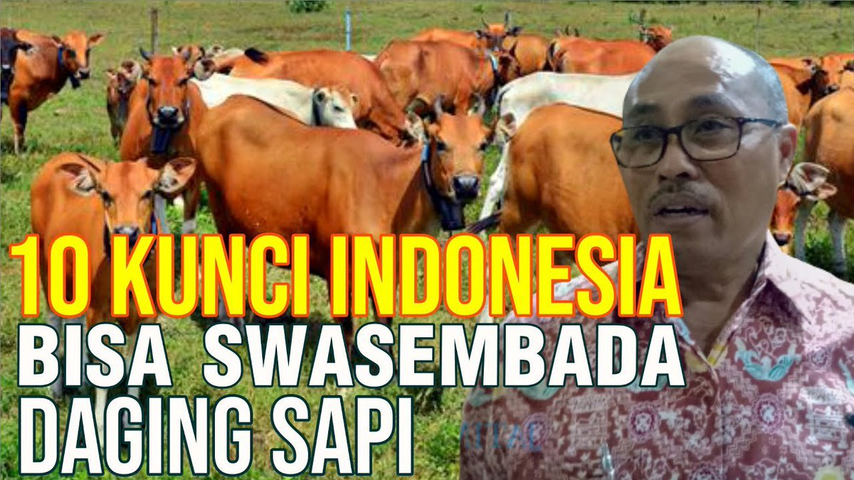sapibagus_com's tweet photo. 10 Kunci Indonesia Bisa Swasembada Daging Sapi
•
Selengkapnya tersedia di website sapibagus di link berikut https://t.co/MVz5Mmvrpp
Vidionya bisa ditonton di link berikut https://t.co/bnksduNdiT
•
WA : https://t.co/MwkyfGc78k​
•
#swasembadadaging #swasembadasapi #sapiimpor https://t.co/zyIpSn0FlF