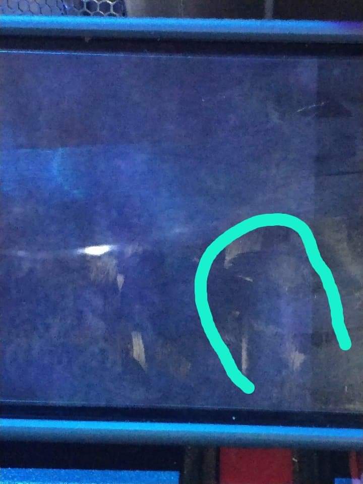 Number Onedirt william green tweet media