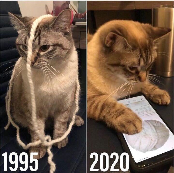 Emily Cebasek🌻 (@emilycebasek) on Twitter photo 