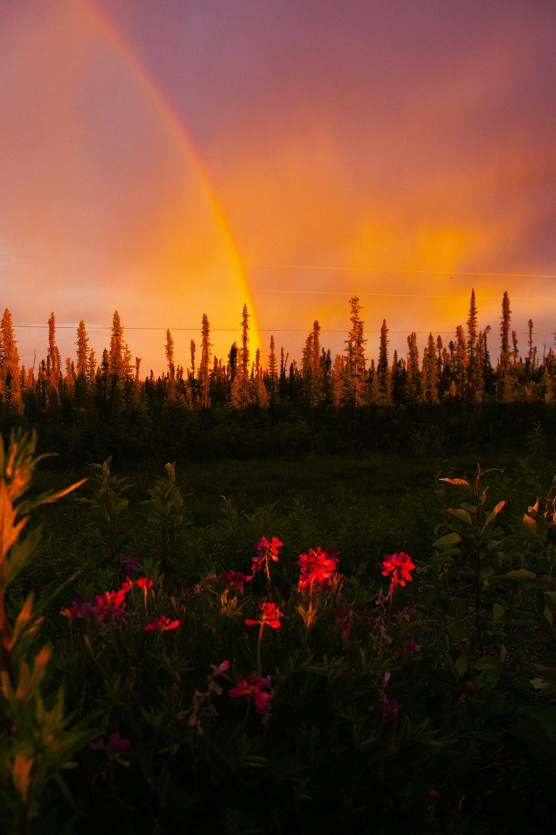 CAMPROBBER_'s tweet photo. Glennallen Alaska https://t.co/XebFa7z0ku