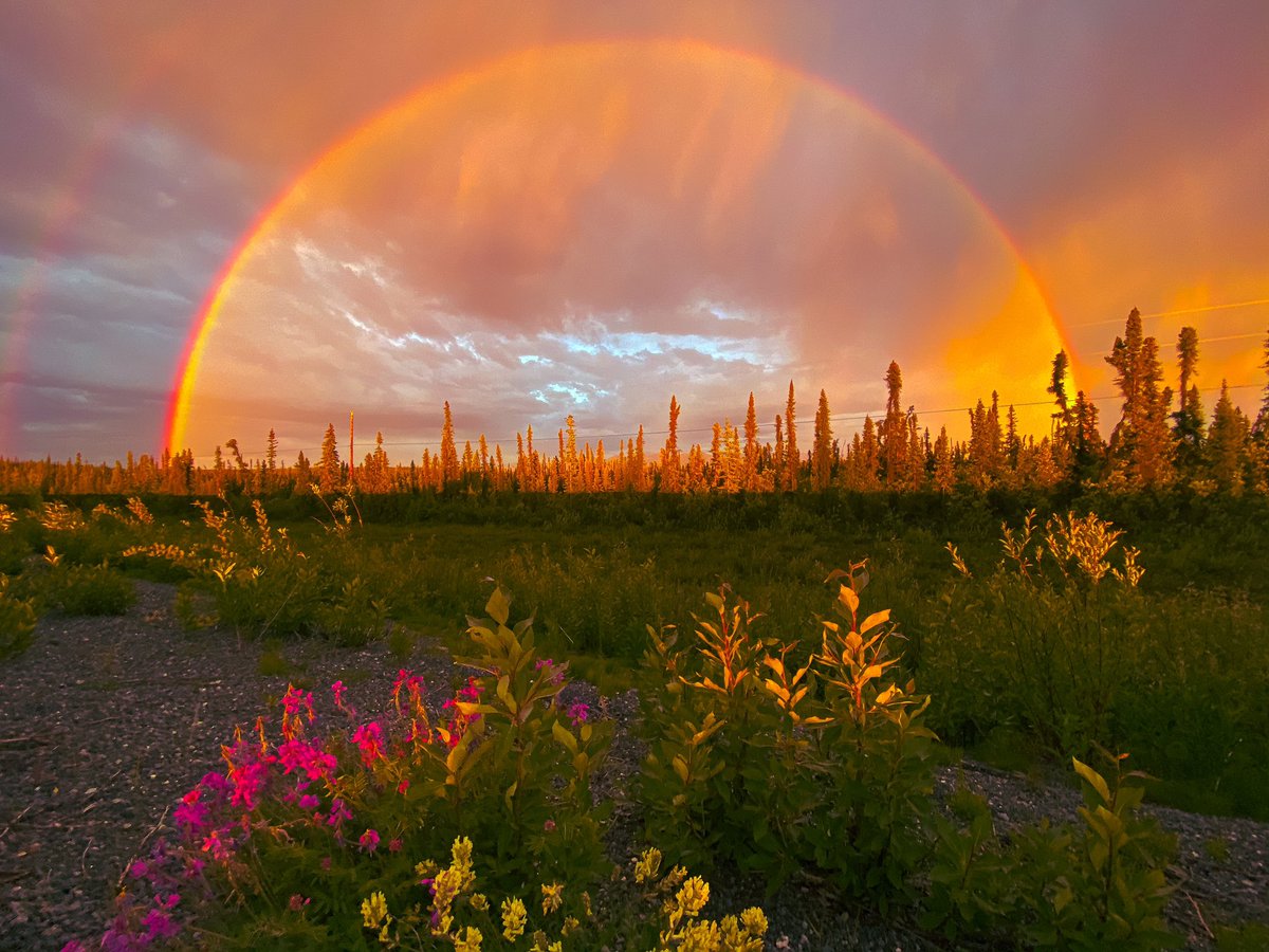 CAMPROBBER_'s tweet photo. Glennallen Alaska https://t.co/XebFa7z0ku