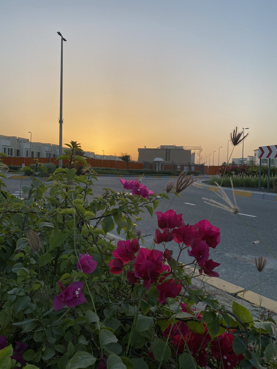 FalconEdit's tweet photo. احلى صباح https://t.co/AH5XNjkjrn