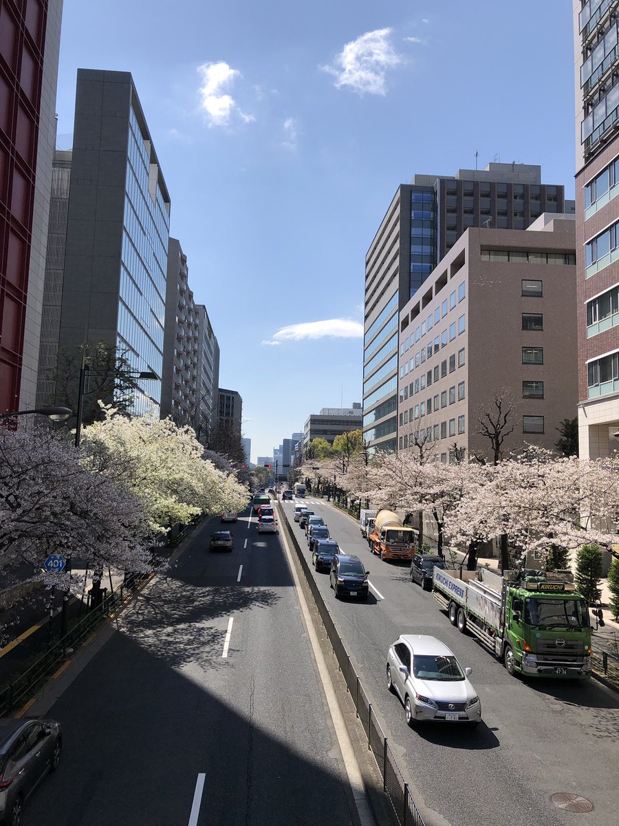 靖国神社ランチ