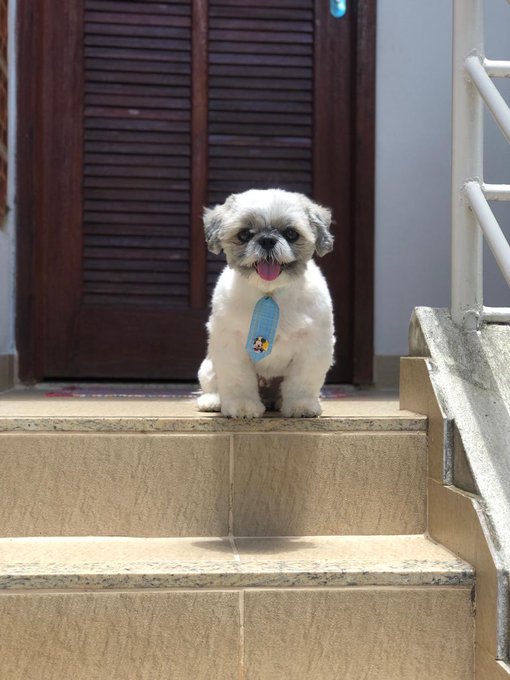 o pai // o filho https://t.co/0DzTfcIVL2