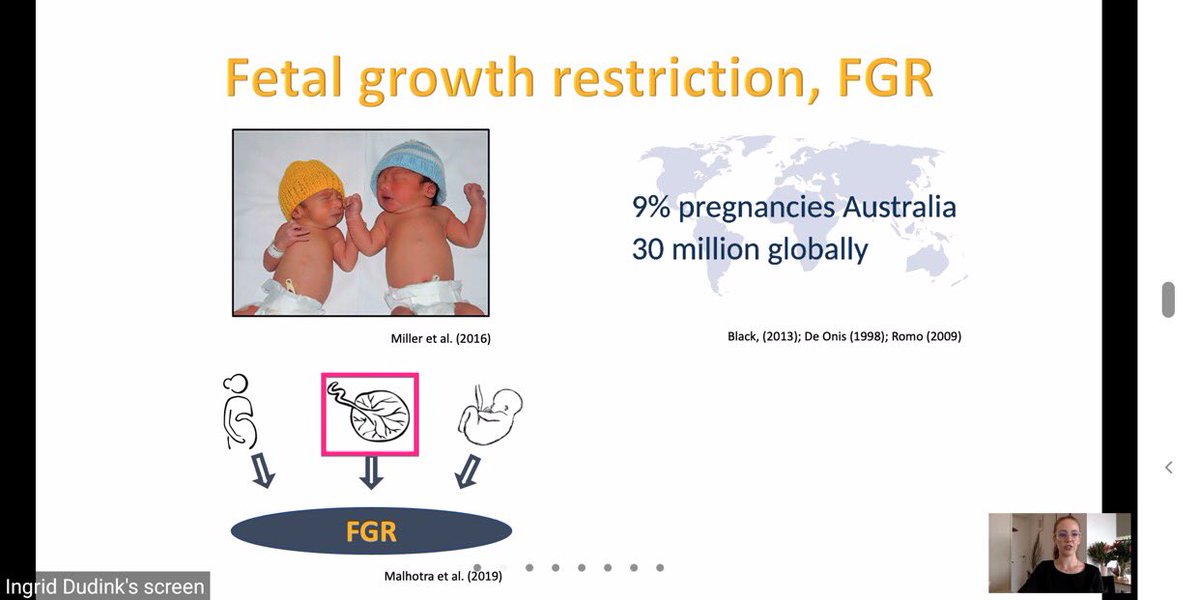 Ingrid Dudink tweet media