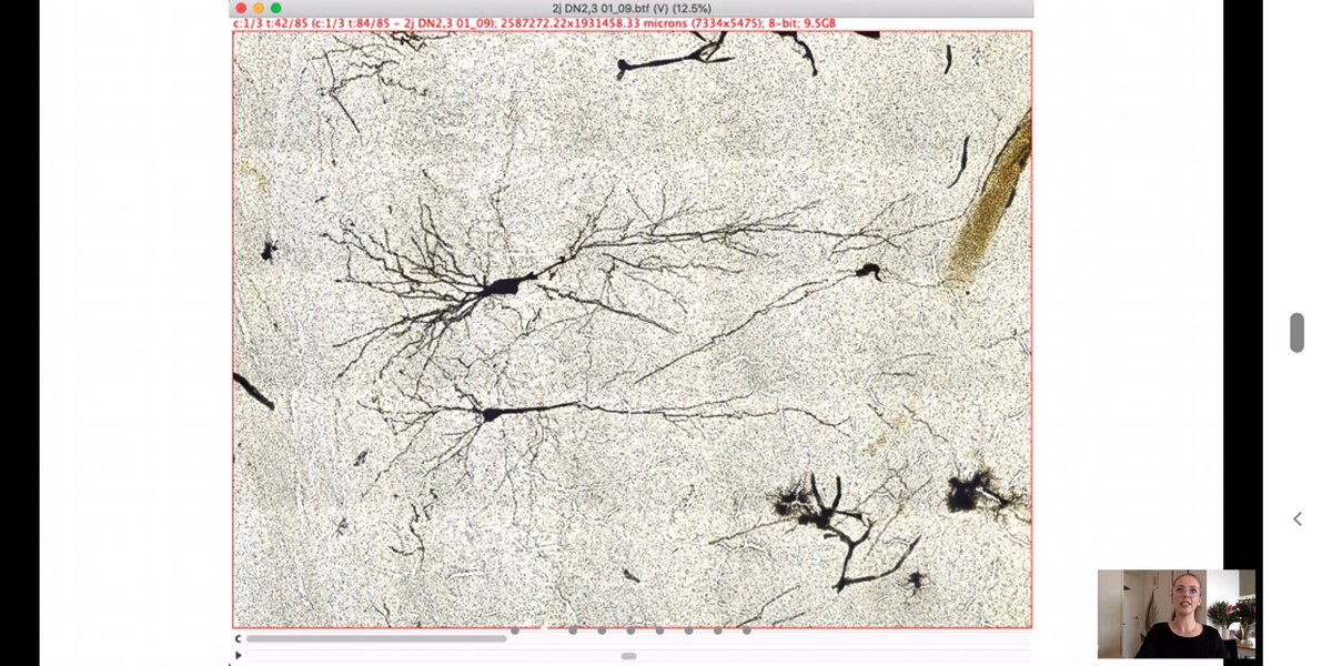 Ingrid Dudink tweet media