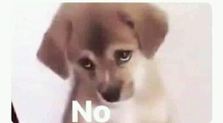 ElJeringasLoko's tweet photo. Vato con Mercedes Benz: Tienes novio?

La morra con un noviazgo de 2 años: https://t.co/NVRKPRXXF5