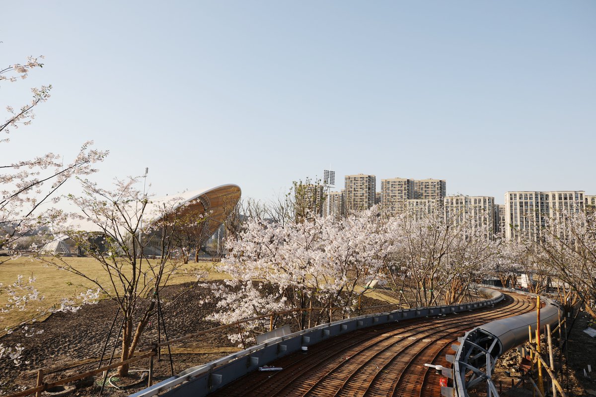 19thAGofficial's tweet photo. Sakura is blossoming in the Canal Asian Games Park in Gongshu District, Hangzhou.
#Hangzhou #AsianGames #SpringIsComing #SpringInHangzhou https://t.co/I88PpgvyWi