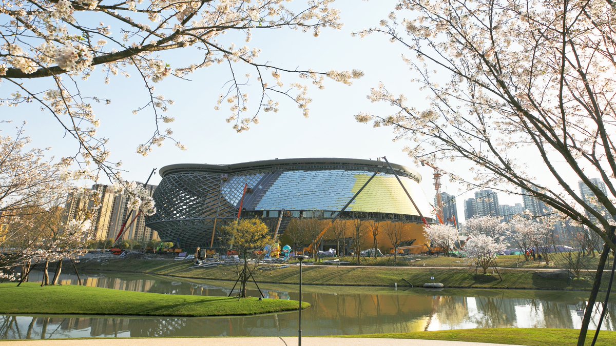 19thAGofficial's tweet photo. Sakura is blossoming in the Canal Asian Games Park in Gongshu District, Hangzhou.
#Hangzhou #AsianGames #SpringIsComing #SpringInHangzhou https://t.co/I88PpgvyWi