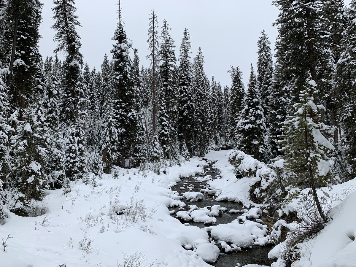 bamagirl58's tweet photo. @spann Big Sky, Montana https://t.co/iFI0rAJD3N