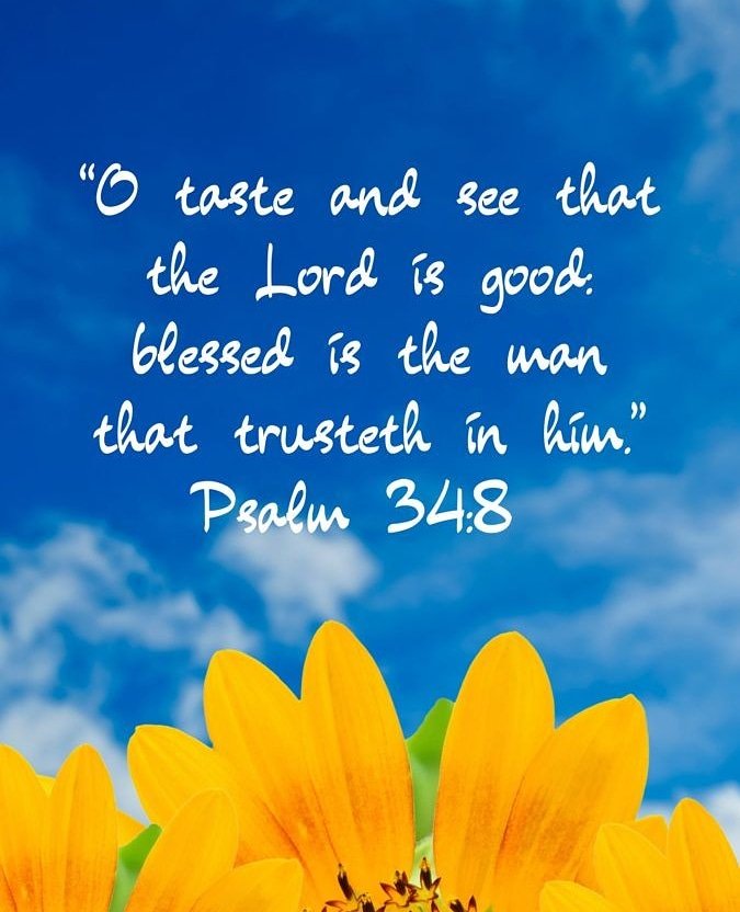 ShirtsBible's tweet photo. Taste and see that the Lord is good, and His promises are good. When you turn to God, the Bible promises that you will find rest and refuge for your soul. No matter what you may be facing today, come to the father. He will give you His peace and strength as you take refuge in Him https://t.co/5r75KgohSH