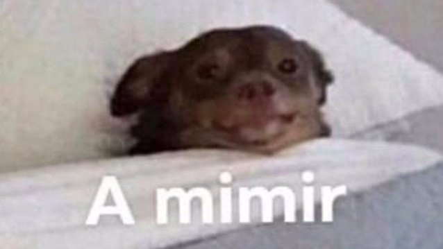 Thepiianoman's tweet photo. 𖤐: Chale, yo quería quedarme más tiempo pero mañana trabajo.

Moraleja: No crezcan, ser adulto es un asco, ahre https://t.co/IPB5DTTTWN