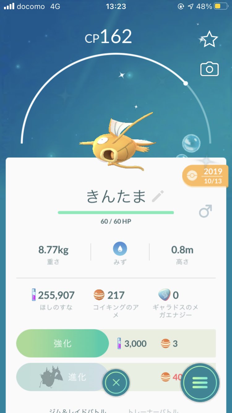 すんにきさんはtwitterを使っています ポケモンgoって名前を下ネタにできないように規制されてるんですけど規制される前にきんたまって名前を金の コイキングに着けたのでこいつ結構レアなんですよね T Co Fwjj5ptkwz Twitter