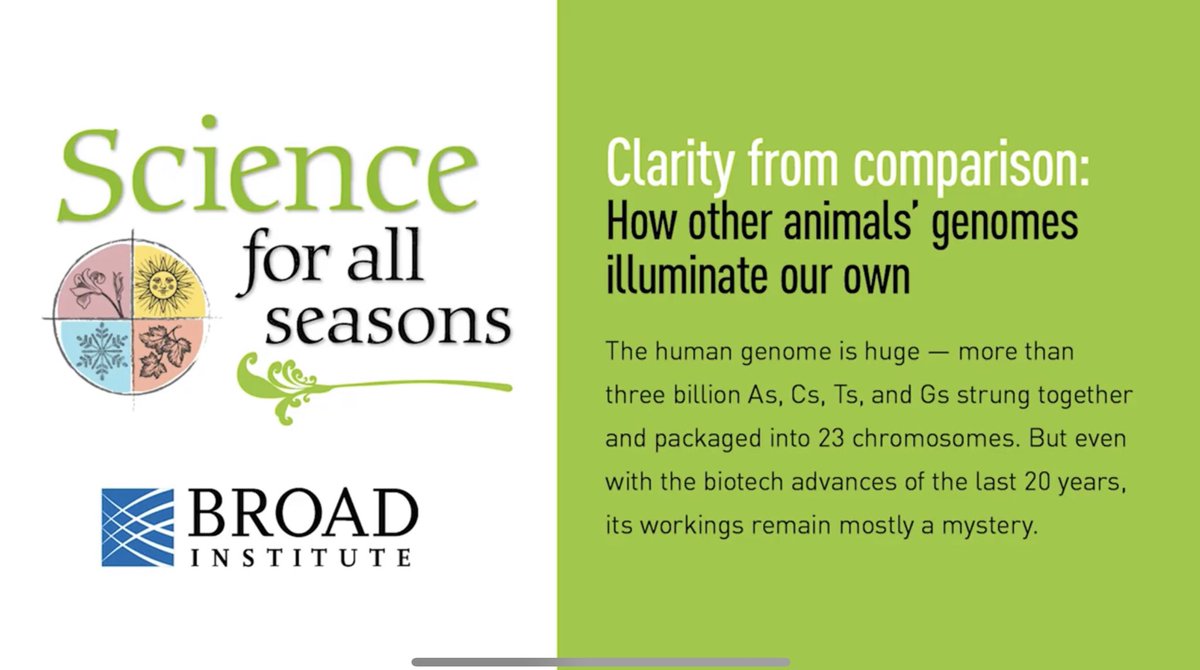 Mammals & genomics. Diane Genereux and I distill it to (comparative) essentials in @broadinstitute public lecture “Clarity from comparison: How other animals' genomes illuminate our own.” Sadly, few @ZoonomiaProject species survived the #2021MMM #carnage youtu.be/YKjYFydrje0