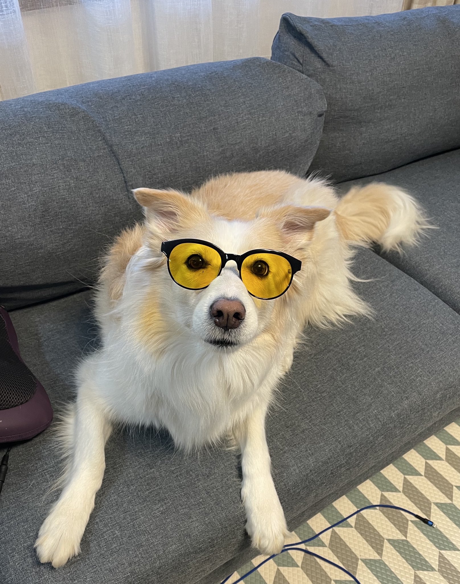 ExJ-TaoVcAIUzdo?format=jpg&name=large